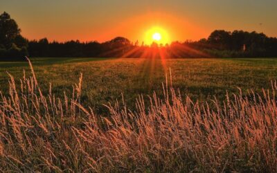 Early Morning Jobs Early Risers Should Consider